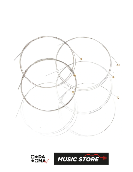 ERNIE BALL REGULER SLINKY 10-46 NICKEL ELEKTRO GİTAR TELİ