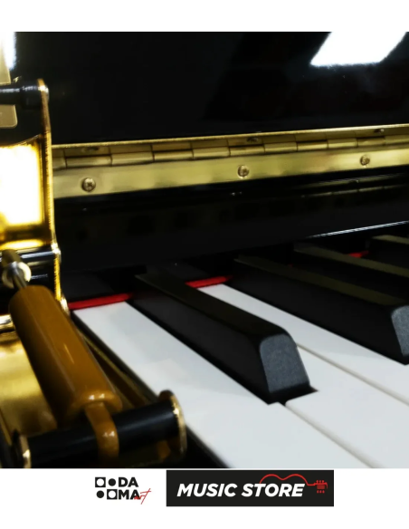 ShallReich Giulietta Guccini Dijital Piyano - Siyah