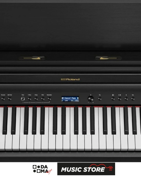 Roland HP-704 Dijital Piyano - Mat Siyah