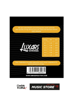 Luxars LX5-010 Akustik Gitar Tel Seti 2