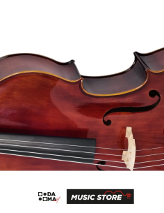 Valler CLS470 4/4 Professional Cello – Gloss Finish 2
